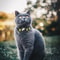 Rainbow Gradient AirTag Cat Collar With Bell Waterproof Silicone Tracker Holder 2
