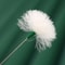 Silver Goose Feather Ear Cleaner Tool Set for Gentle Ear Massage & Relaxation