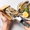 Premium Oyster Shucking Knife with Wooden Stand Stainless Steel Seafood Shell Opener