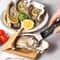 Premium Oyster Shucking Knife with Wooden Stand Stainless Steel Seafood Shell Opener