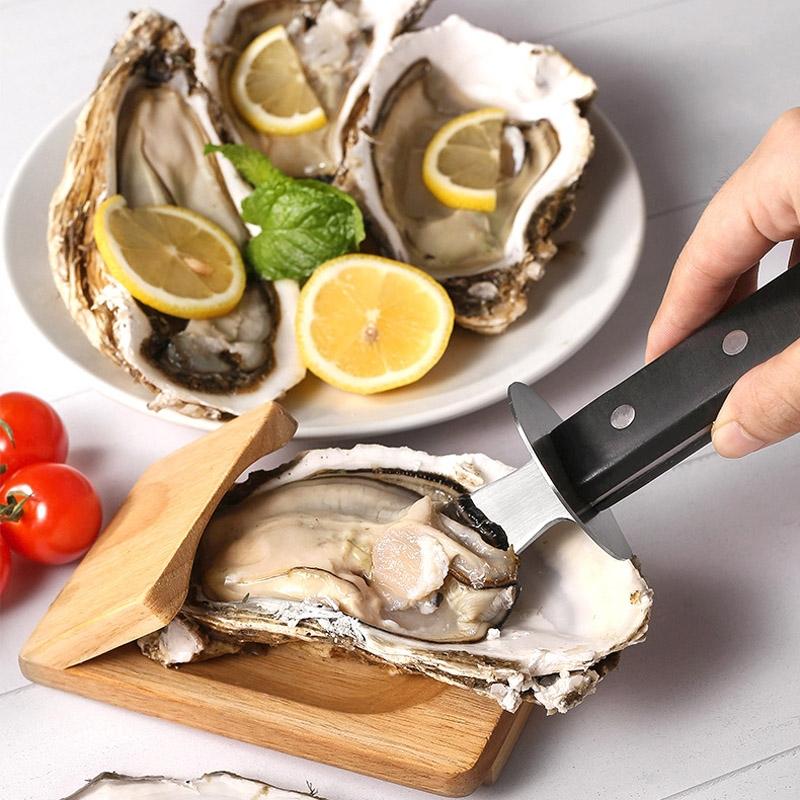 Premium Oyster Shucking Knife with Wooden Stand Stainless Steel Seafood Shell Opener