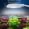USB ClipOn Aquarium LED Light For Small Fish Tanks Aquatic Plants 7