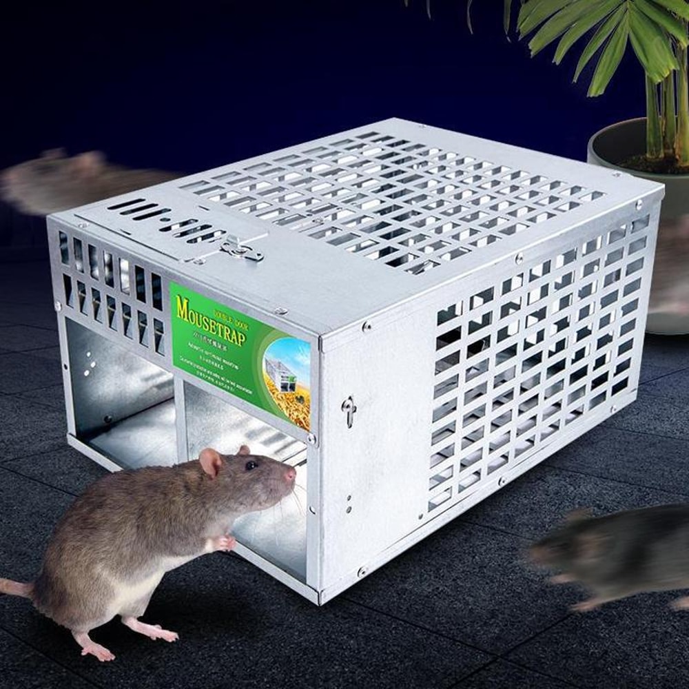 Dual Door Humane Mouse Trap Cage for Indoor Rodent Control and Safe Catch Release