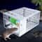 Dual Door Humane Mouse Trap Cage for Indoor Rodent Control and Safe Catch Release