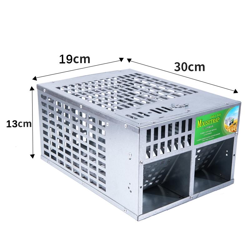 Dual Door Humane Mouse Trap Cage for Indoor Rodent Control and Safe Catch Release