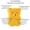 Cute Cartoon Baby Bath Sponge Soft Natural Wood Pulp Bath Scrubber For Sensitive Skin 6
