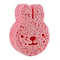 Cute Cartoon Baby Bath Sponge Soft Natural Wood Pulp Bath Scrubber For Sensitive Skin 14