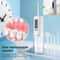 Portable Water Flosser for Teeth Cleaning with 4 Nozzles & Rechargeable Design