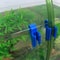 Aquarium Water Pipe Holder Clips for Fish Tank Hose Control 5PCS
