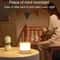 Portable LED Bedside Night Light With Warm Ambiance And Touch Control 5