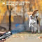 Premium Ultrasonic Dog Repeller Anti Barking Training Device with LED Flashlight