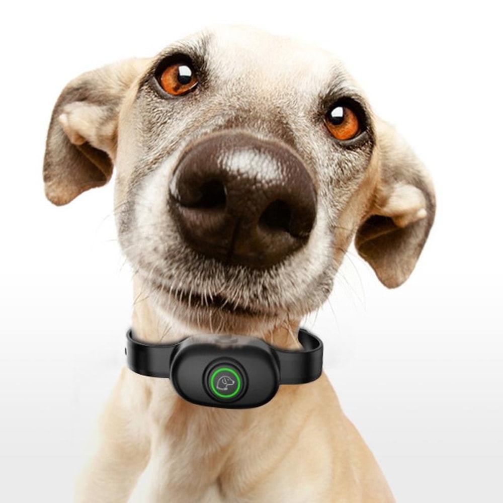 Smart Auto Stop Dog Shock Collar Trainer With Adjustable Range 0