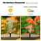 Solar Powered Floating Water Fountain for Garden Bird Bath