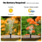 Solar Powered Floating Water Fountain for Garden Bird Bath