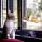 Transparent Acrylic Triangle Bird Feeder For Outdoor Garden Pet Bird Cages 2