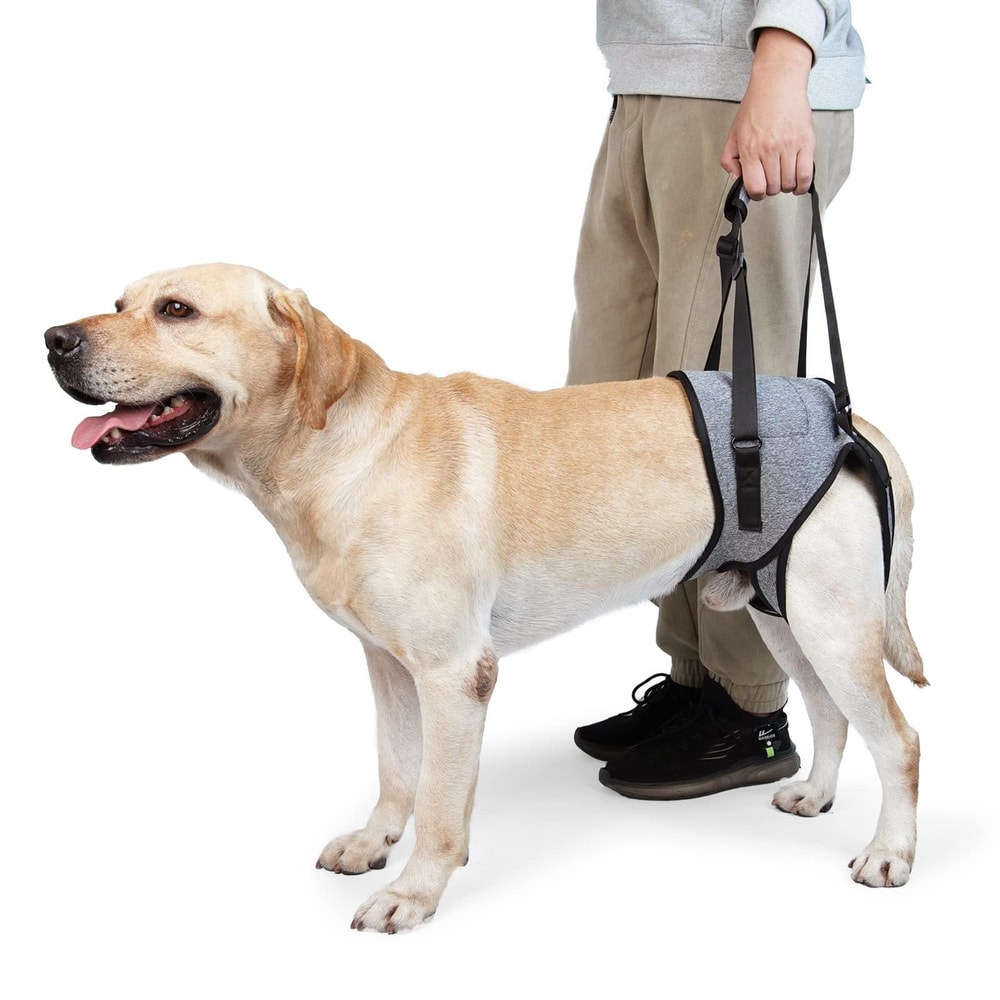 ComfortLift Dog Lift Harness For Senior Injured Dogs With Hind Leg Support 0