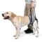 ComfortLift Dog Lift Harness For Senior Injured Dogs With Hind Leg Support 0