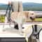 ComfortLift Dog Lift Harness For Senior Injured Dogs With Hind Leg Support 3