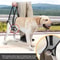ComfortLift Dog Lift Harness For Senior Injured Dogs With Hind Leg Support 3
