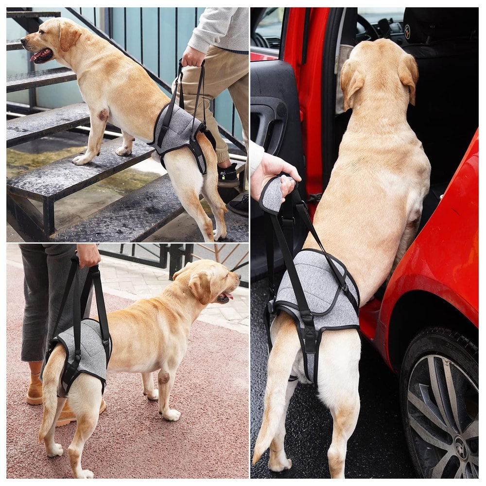 ComfortLift Dog Lift Harness For Senior Injured Dogs With Hind Leg Support 4