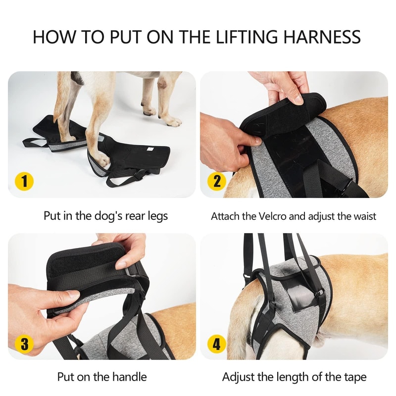 ComfortLift Dog Lift Harness For Senior Injured Dogs With Hind Leg Support 5