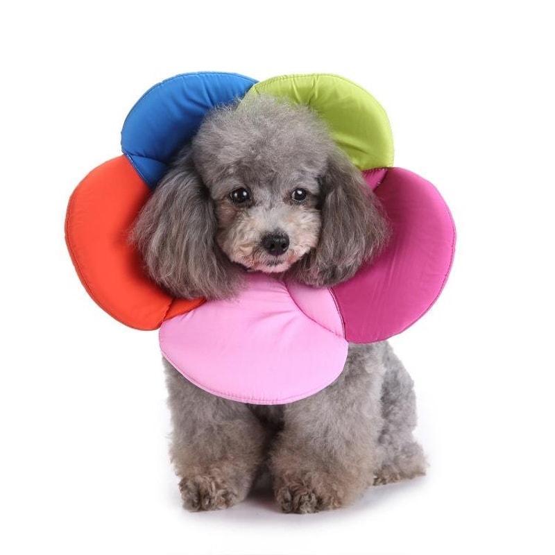 Soft Flower Dog Recovery Collar For Pets Comfortable Pet Protection Collar After Surgery 8