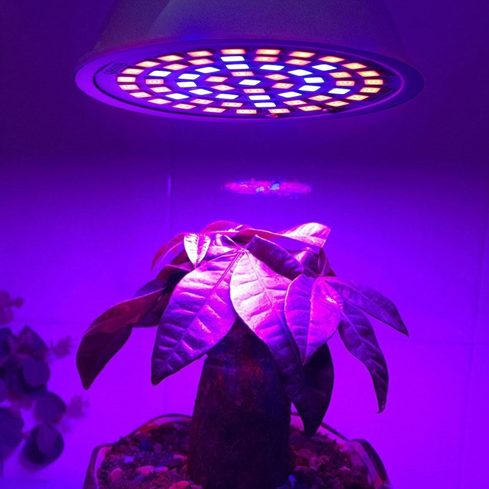 Full Spectrum Plant Growth LED Bulb 20W E27 Indoor Grow Light For Faster Flowering Healthy Plants 4