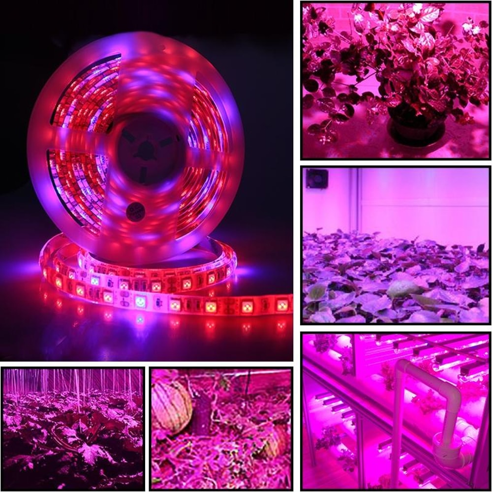 Full Spectrum LED Grow Light Strip 5M 300 LEDs Waterproof Plant Growing Lamp 3