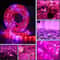 Full Spectrum LED Grow Light Strip 5M 300 LEDs Waterproof Plant Growing Lamp 3