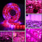 Full Spectrum LED Grow Light Strip 5M 300 LEDs Waterproof Plant Growing Lamp 3