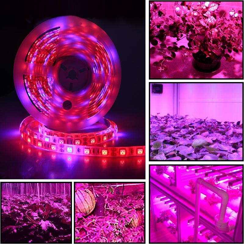 Full Spectrum LED Grow Light Strip 5M 300 LEDs Waterproof Plant Growing Lamp 3