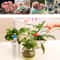 2PCS Portable Plant Watering Bottle Caps For Indoor Plants Garden Seedlings Random Color 7