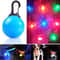 LED Pet Collar Pendant For Dogs Cats Night Safety Light 0