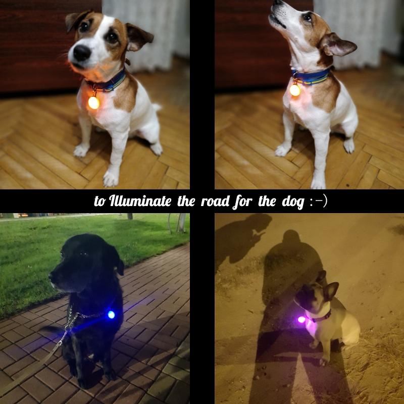 LED Pet Collar Pendant For Dogs Cats Night Safety Light 5