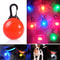 LED Pet Collar Pendant for Dogs & Cats Night Safety Light
