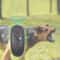 Ultrasonic Dog Trainer Portable Bark Control Adjustable Frequency Dog Repeller 0