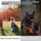 Ultrasonic Bark Control Device for Dogs Outdoor Waterproof Training Deterrent