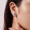 Elegant Sea Turtle Zircon Stud Earrings For Women In White Gold Plated Silver Needle Design 1