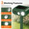 Solar Ultrasonic Animal Repeller with PIR Motion Sensor & LED Flashing Deterrent
