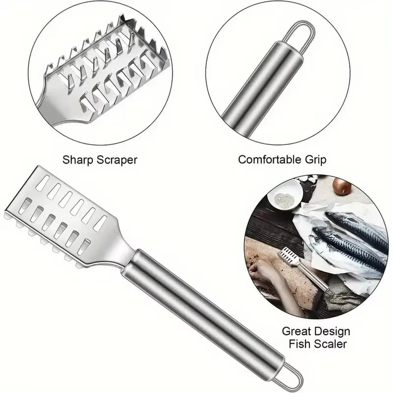 Stainless Steel Fish Scaler with Ergonomic Grip for Fast Kitchen Seafood Prep