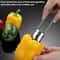 Stainless Steel Fruit Corer Tool for Apples, Peppers & Vegetables