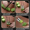 Stainless Steel Fruit Corer Tool for Apples, Peppers & Vegetables