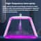 7Color LED Facial Light Therapy Device With Hydrating Nano Mist Spray 3