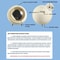 Luxury Automatic Watch Winder With AntiMagnetic Watch Winder Protection Silent Motor 4