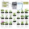 Dual Pump Automatic Plant Watering System With 20 Drip Emitters For Indoor Garden Plants 1