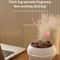 Dynamic Multi Spray Aromatherapy Diffuser Colorful Lights Humidifier With Remote Control 2