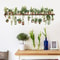 Fresh Green Bonsai PVC Plant Wall Stickers, Waterproof Living Room Wall Decals for Bedroom & Home