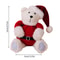 Christmas Plush Bear Ornament Doll, Cute Holiday Decoration & Gift for Kids