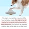 Interactive Silicone Dog Slow Feeder Bowl Puzzle Toy For Healthy Eating Mental Enrichment 2