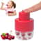 Seven Hole Cherry And Date Core Remover Easy Clean Fast 0